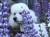 DSC00038.JPG